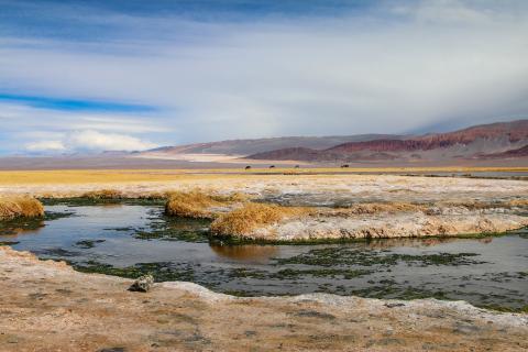 Catamarca